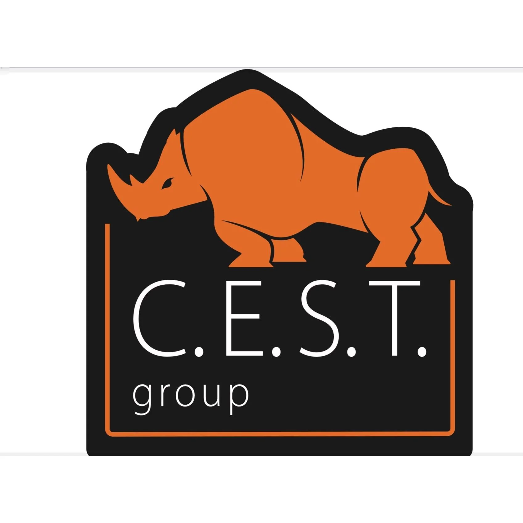 CEST® Rubber Patch - Image 3