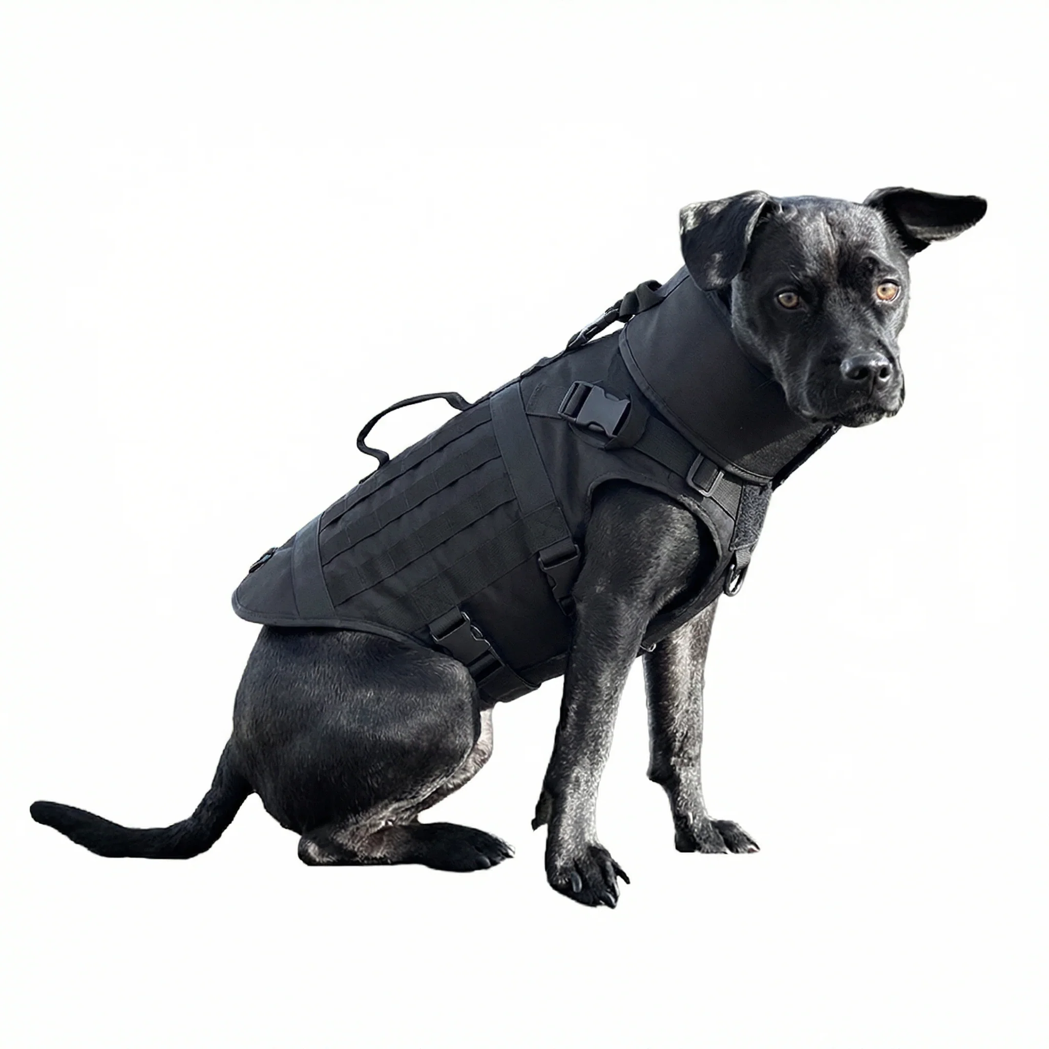CEST Armor K 9 Hunde-Stichschutzweste Stichschutz Schnittschutz Bissschutz - Image 5