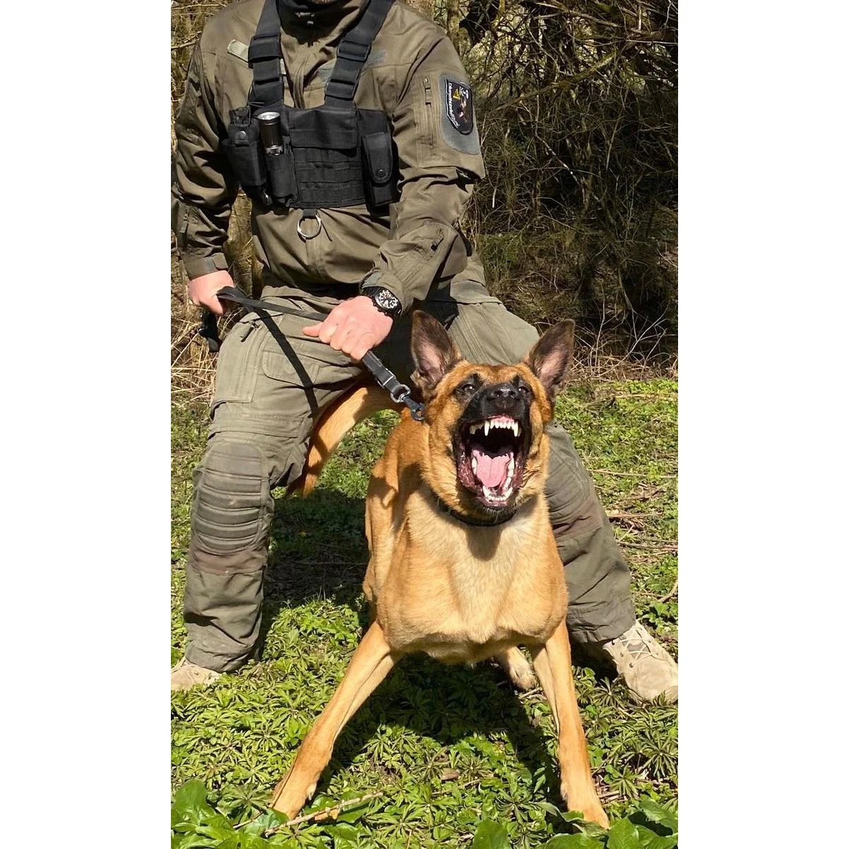 K9 CEST Multiholster - Image 4