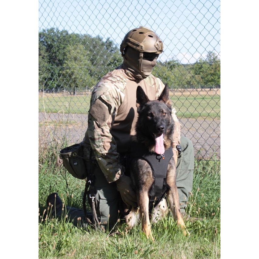 CEST Schutzweste für Hunde ballistisch SK1 mit Stichschutz - Image 3