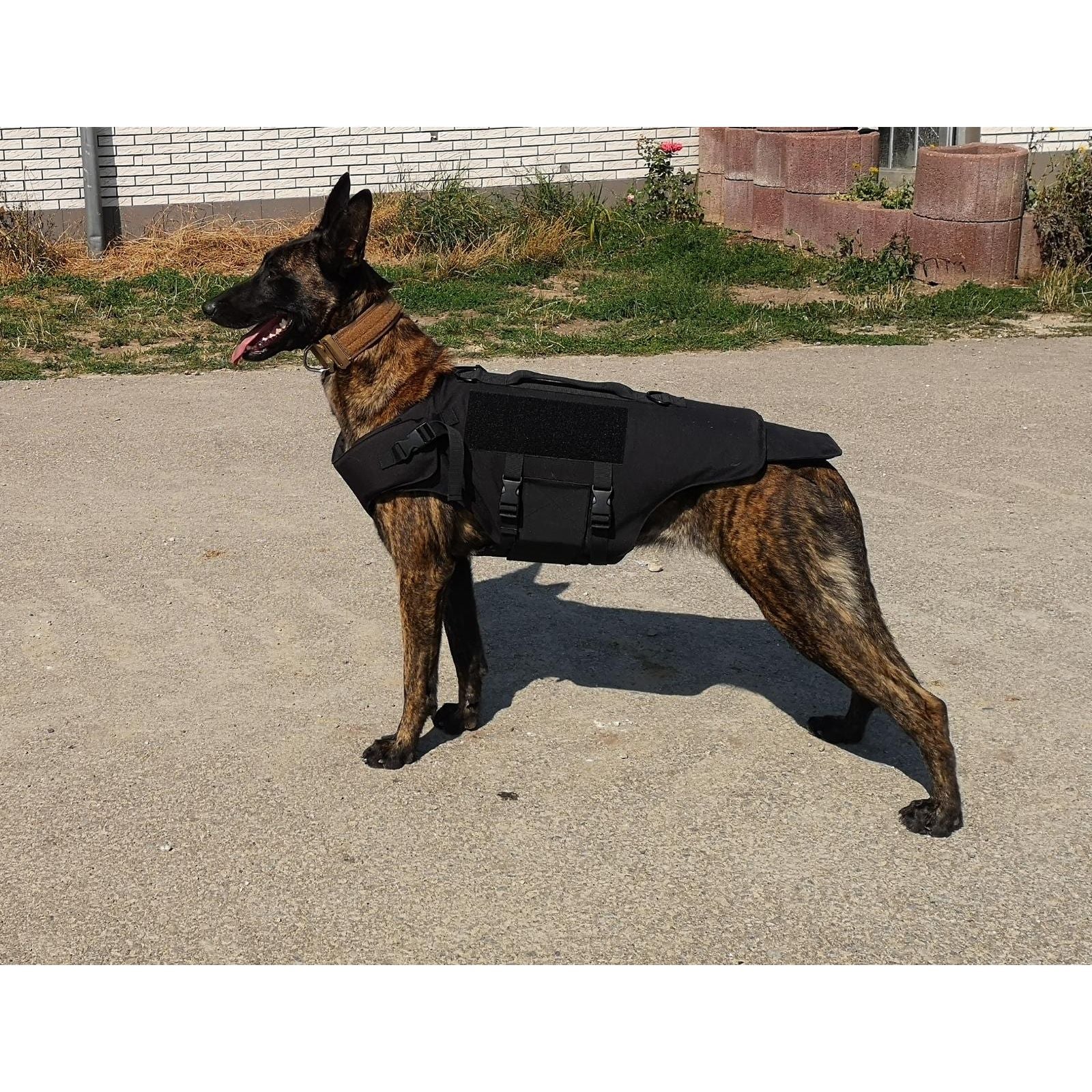 CEST Schutzweste für Hunde ballistisch SK1 mit Stichschutz - Image 5
